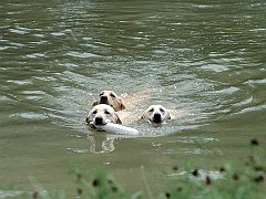 Race to the Finish